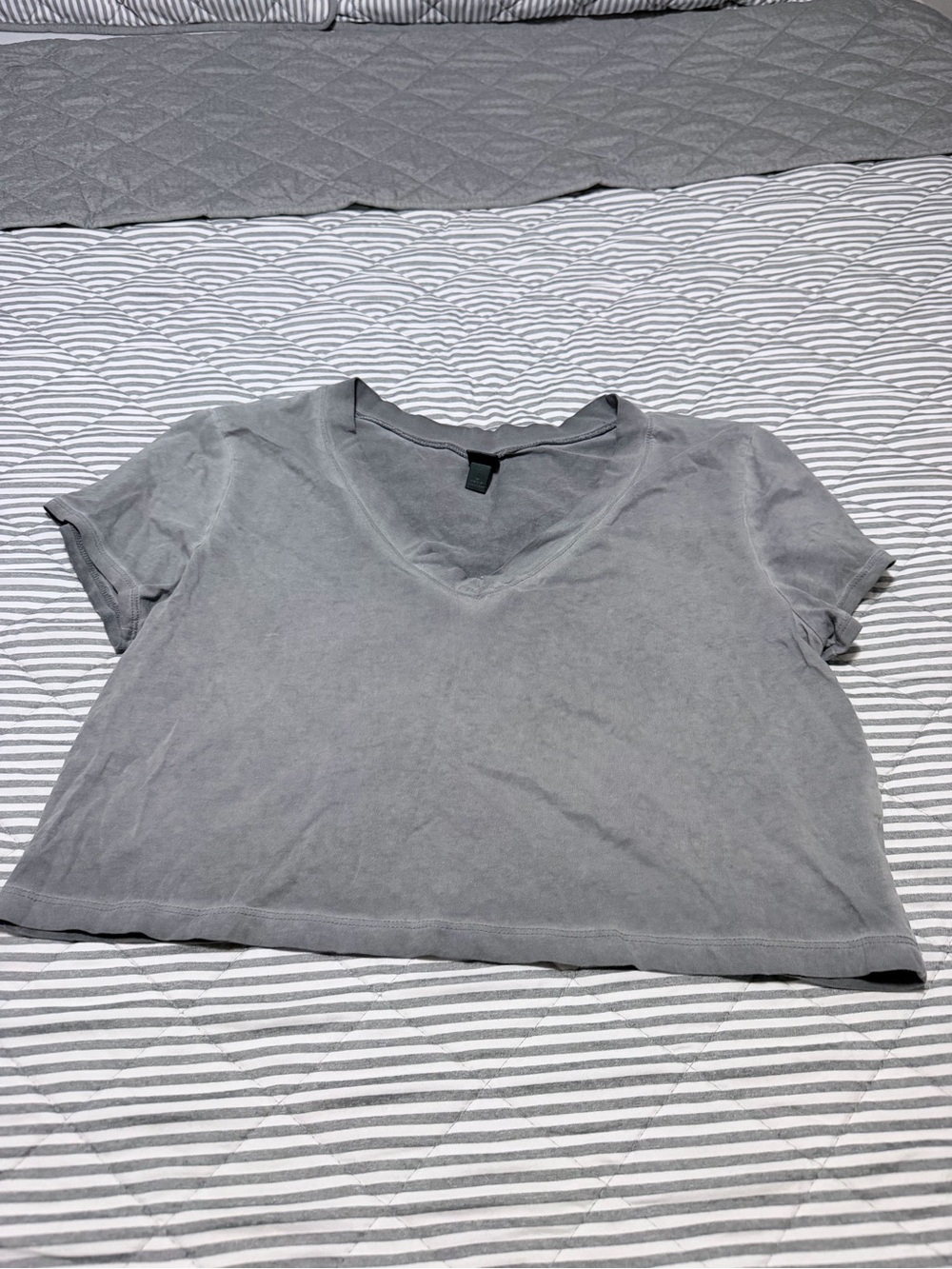 wild fable Gray V-Neck Cropped Tee